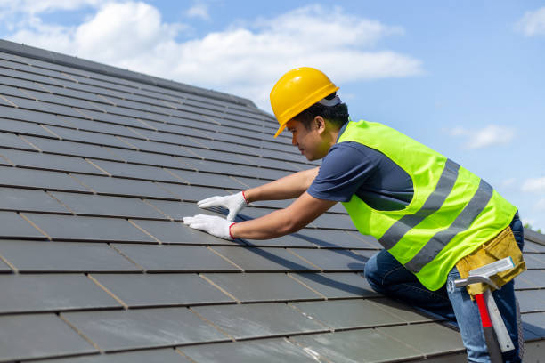 Best Metal Roofing Contractor  in Paxton, IL
